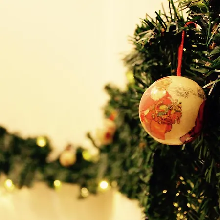 Arctic Heart בית הארחה רובניימי