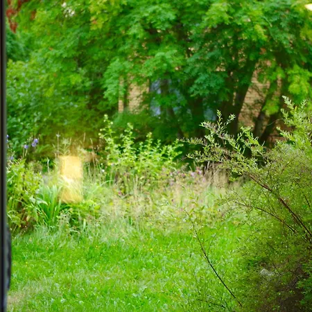 בית הארחה Arctic Heart רובניימי