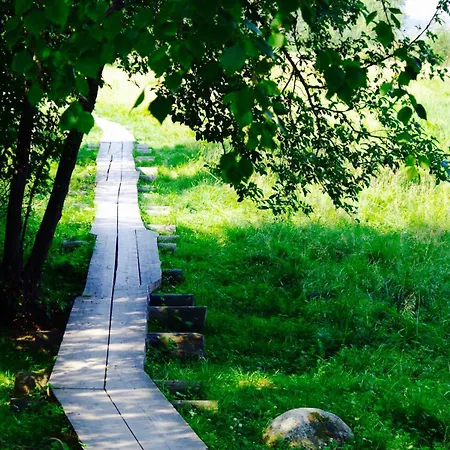 בית הארחה Arctic Heart 3*