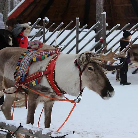 Arctic Heart בית הארחה רובניימי