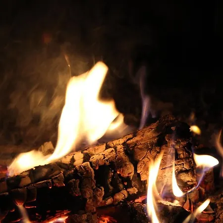 בית הארחה Arctic Heart רובניימי