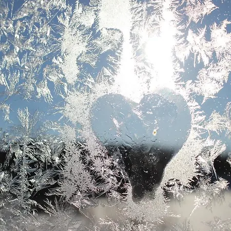 Arctic Heart בית הארחה