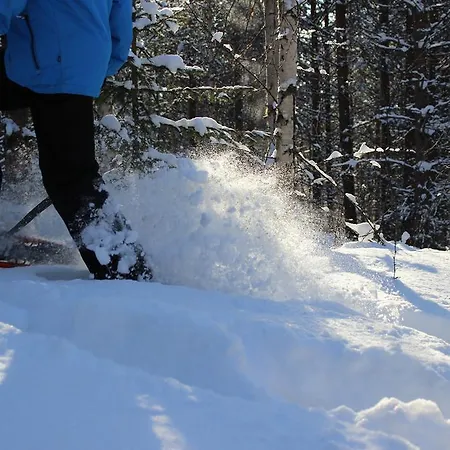 Arctic Heart 3*