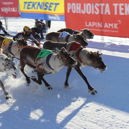 בית הארחה Arctic Heart רובניימי