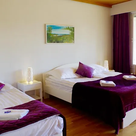 Arctic Heart בית הארחה