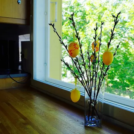 בית הארחה Arctic Heart רובניימי