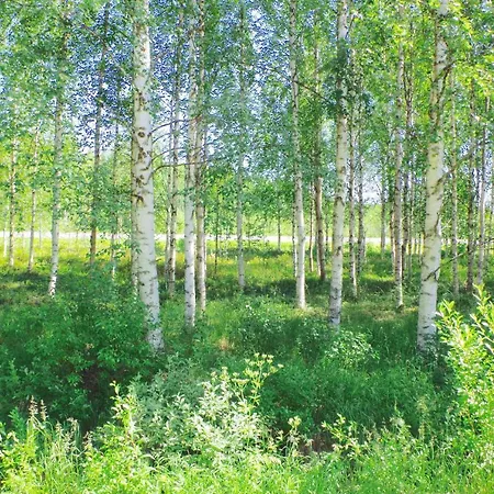 Arctic Heart 3* רובניימי