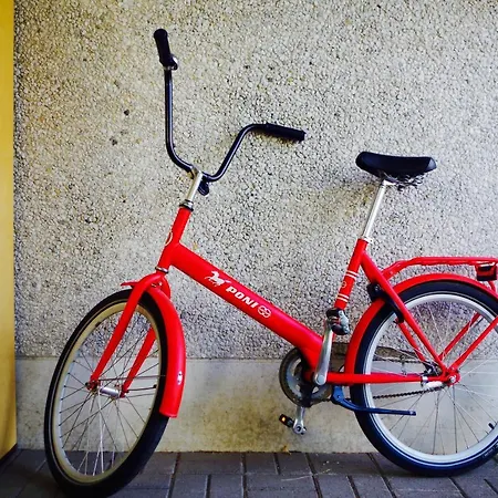 Arctic Heart בית הארחה רובניימי