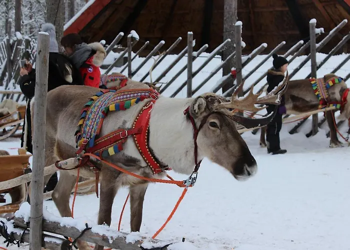 Arctic Heart Maison d'hôtes Rovaniemi