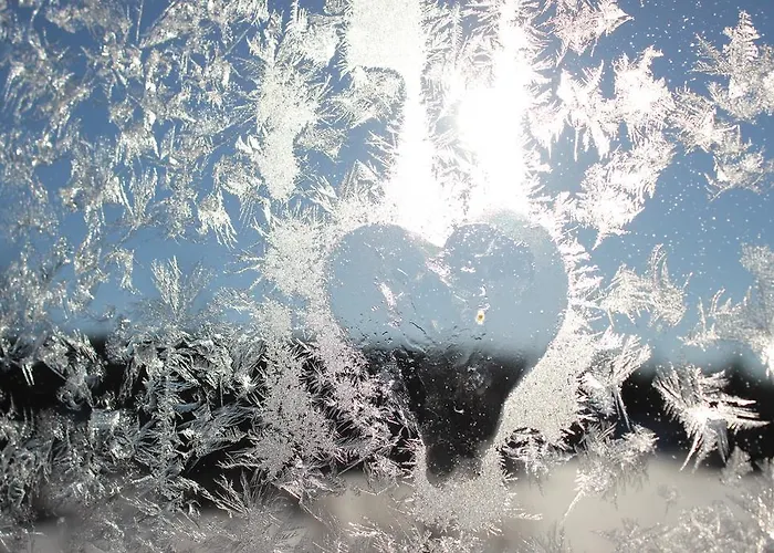 Arctic Heart Vendégház