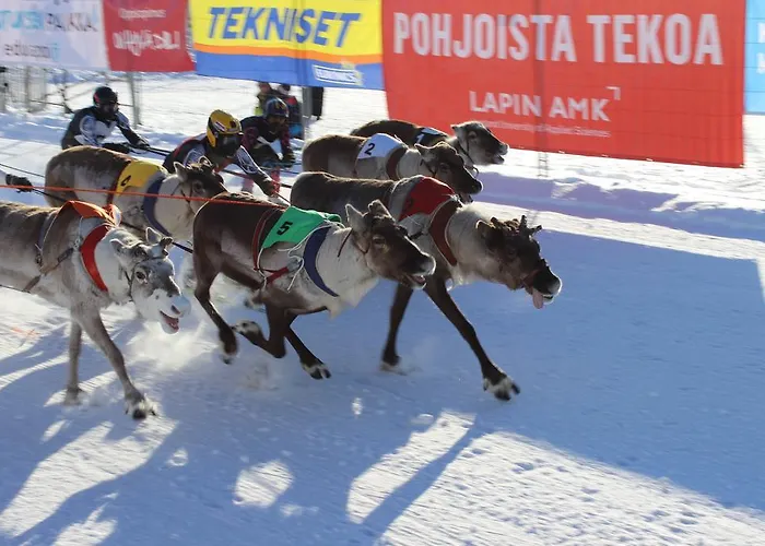 Maison d'hôtes Arctic Heart Rovaniemi