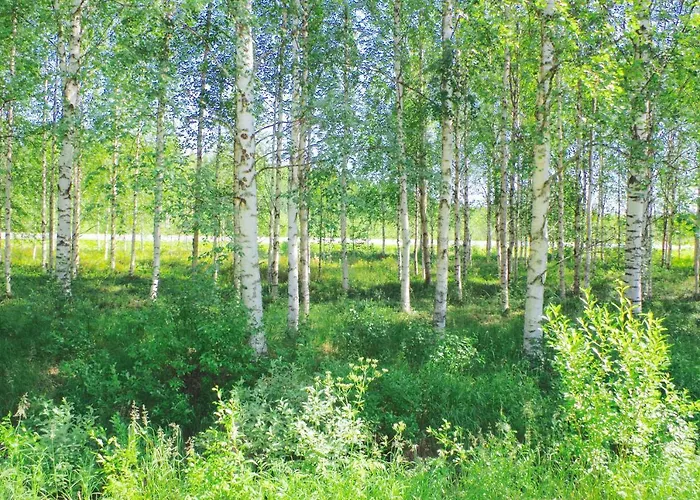 Arctic Heart 3* Rovaniemi