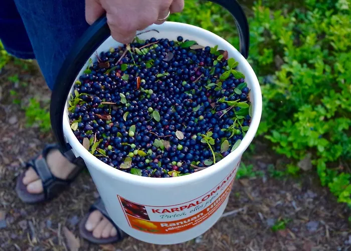 Arctic Heart Maison d'hôtes 3*